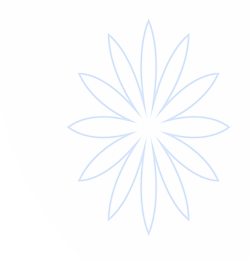 新球体育官网